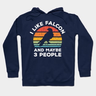 I Like Falcon and Maybe 3 People, Retro Vintage Sunset with Style Old Grainy Grunge Texture Hoodie